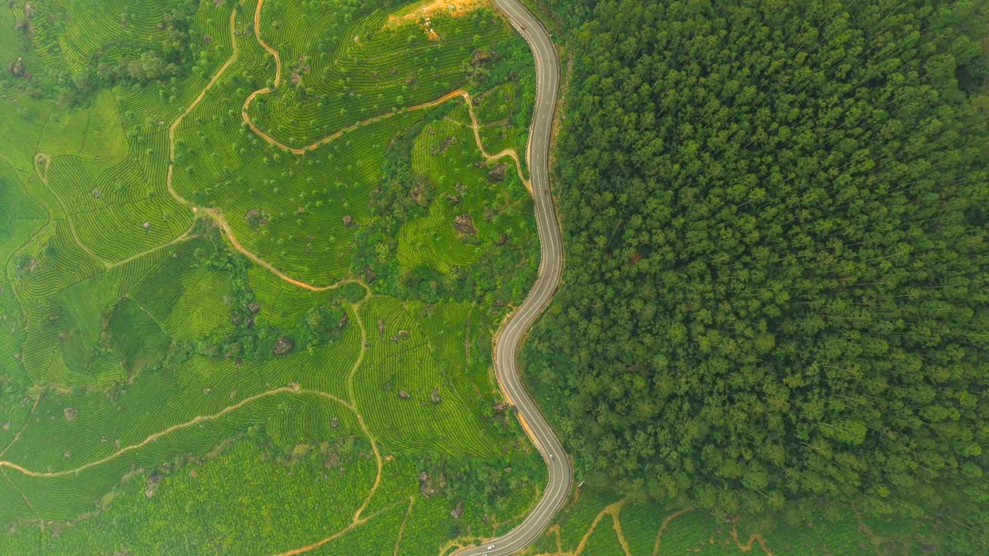 Eastend Munnar Luaran gambar