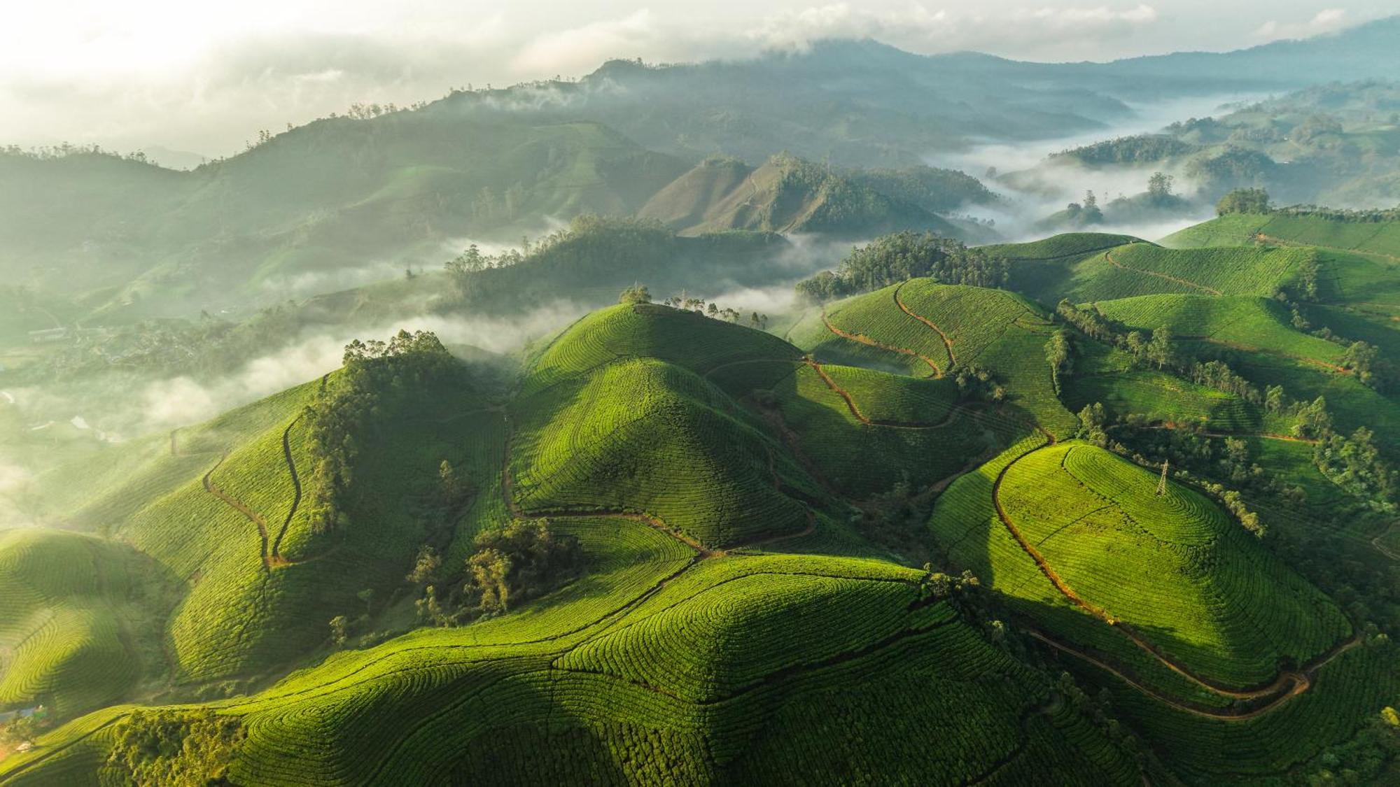 Eastend Munnar Luaran gambar